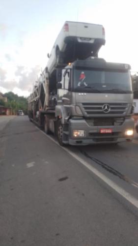 Cegonha